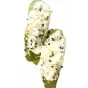 Sushi avocat fromage sésame