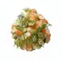 Tartare de crevette